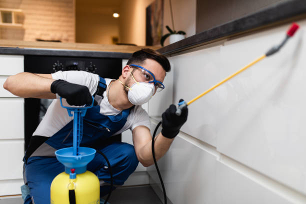 Best Mosquito Control Services  in Calumet Park, IL
