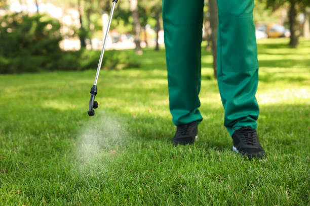 Best Flea Control Services  in Calumet Park, IL