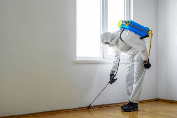 Trusted Calumet Park, IL Pest Control Experts