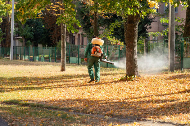 Best Exterminator Services  in Calumet Park, IL
